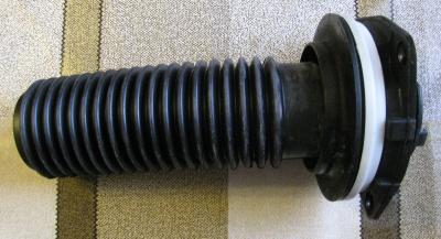IMG 2550