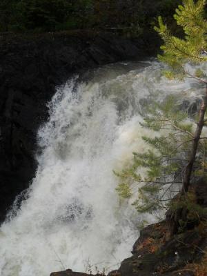 DSCN0304