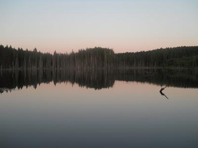 DSCN0274