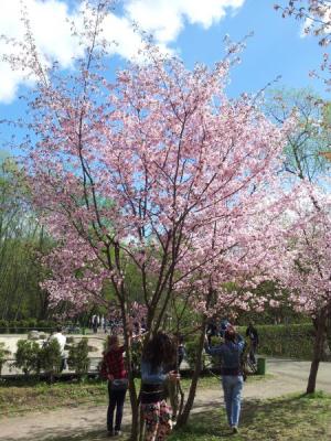 20120430 151019