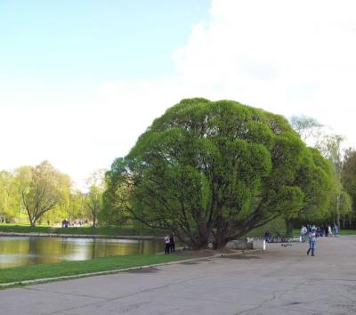 20120430 145848