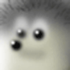 Skip