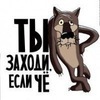 Кот Лунтик