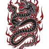 dragon666